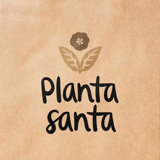 Planta Santa, Blends de té agroecológico
