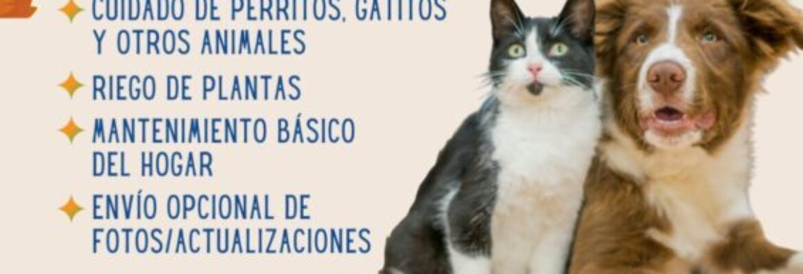 Niñera de gatitos y perritos